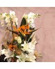 White Orchid w/ Strelitzia and  Lilly